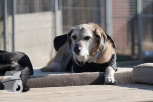 Hutabilder-26-03-w02-045