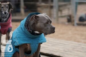 Hutabilder-26-03-w02-051