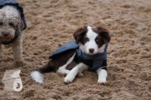 Hutabilder-26-03-w02-053