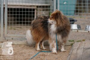 Hutabilder-26-03-w02-055