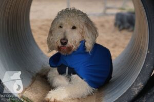 Hutabilder-26-03-w02-056