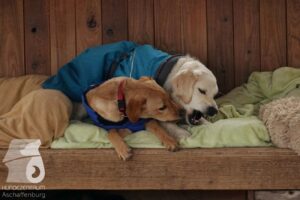 Hutabilder-26-03-w02-057