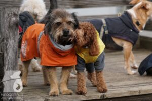 Hutabilder-26-03-w02-059