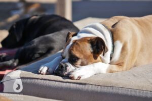 Hutabilder-26-03-w02-060