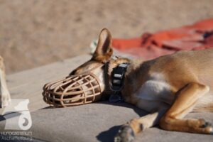 Hutabilder-26-03-w02-061