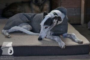 Hutabilder-26-03-w02-062