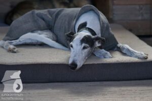 Hutabilder-26-03-w02-063