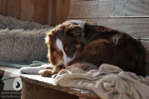 Hutabilder-26-03-w02-064