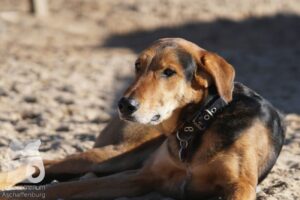 Hutabilder-26-03-w02-065