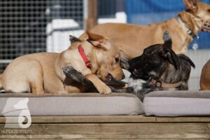 Hutabilder-26-03-w02-074