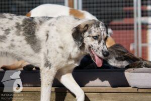 Hutabilder-26-03-w02-075