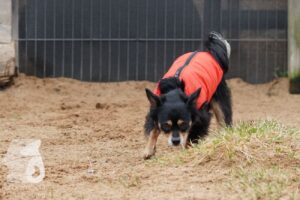 Hutabilder-26-03-w02-077