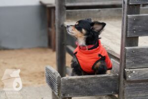 Hutabilder-26-03-w02-078