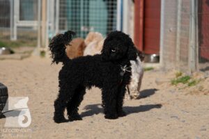 Hutabilder-26-03-w02-086