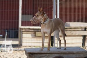 Hutabilder-26-03-w02-088