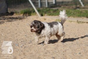 Hutabilder-26-03-w02-089