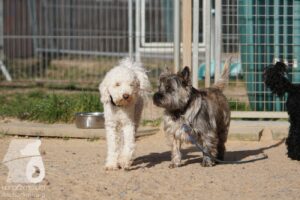 Hutabilder-26-03-w02-090