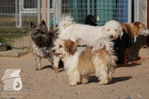 Hutabilder-26-03-w02-091