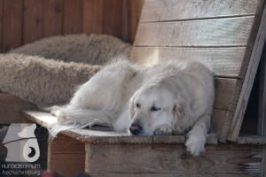 Hutabilder-26-03-w02-093