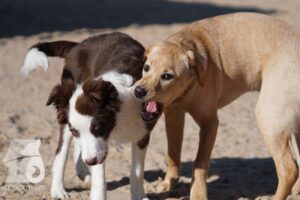 Hutabilder-26-03-w02-096