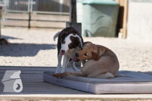 Hutabilder-26-03-w02-097