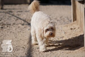 Hutabilder-26-03-w02-098