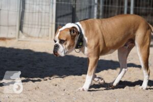 Hutabilder-26-03-w02-099