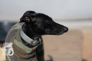 Hutabilder-26-03-w02-102