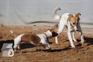 Hutabilder-26-03-w02-103