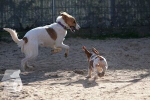 Hutabilder-26-03-w02-104