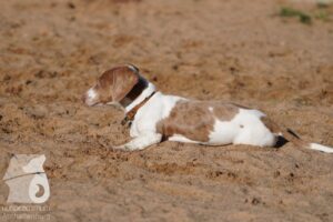 Hutabilder-26-03-w02-105