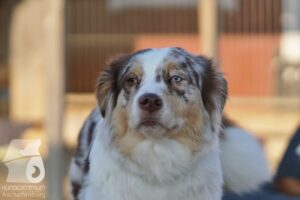 Hutabilder-26-03-w02-109