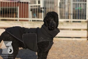 Hutabilder-26-03-w02-110