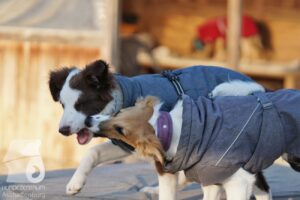 Hutabilder-26-03-w02-111