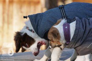 Hutabilder-26-03-w02-112