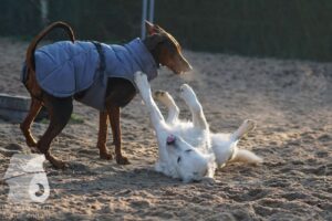 Hutabilder-26-03-w02-113