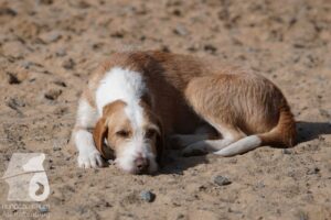 Hutabilder-26-03-w09-001