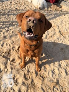 Hutabilder-26-03-w09-002