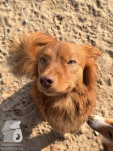 Hutabilder-26-03-w09-003