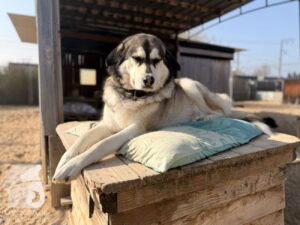 Hutabilder-26-03-w09-004