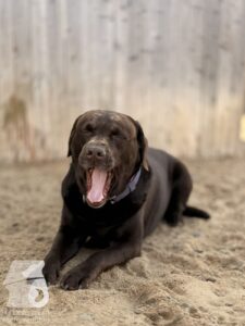 Hutabilder-26-03-w09-005