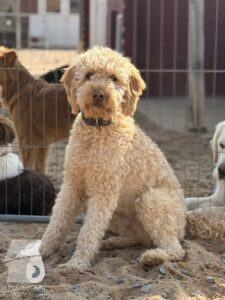 Hutabilder-26-03-w09-006