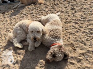 Hutabilder-26-03-w09-008