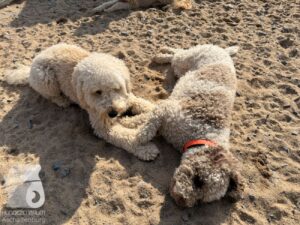 Hutabilder-26-03-w09-009