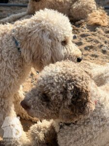 Hutabilder-26-03-w09-010