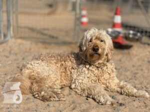 Hutabilder-26-03-w09-011