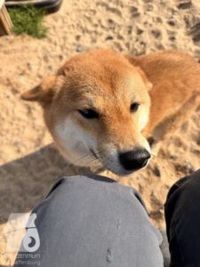 Hutabilder-26-03-w09-014