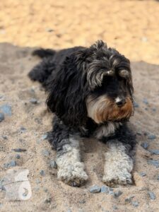 Hutabilder-26-03-w09-016