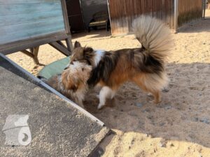 Hutabilder-26-03-w09-017