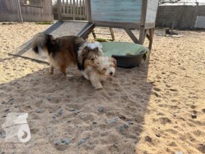 Hutabilder-26-03-w09-018